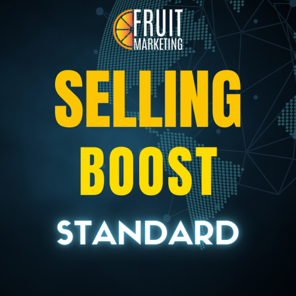 Marketing Starter